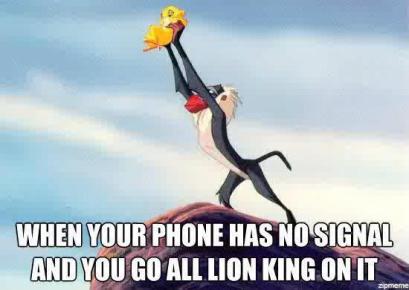 LionKing